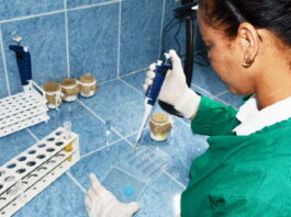 Foto tomada de internet