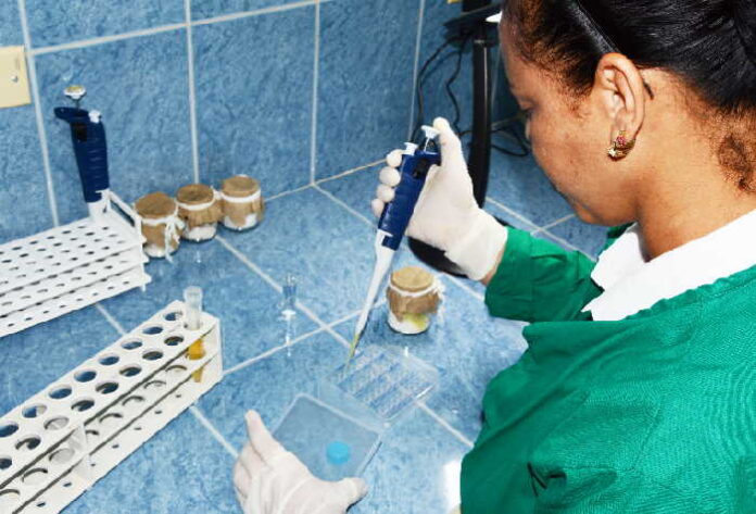 Foto tomada de internet