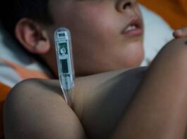 Foto tomada de internet