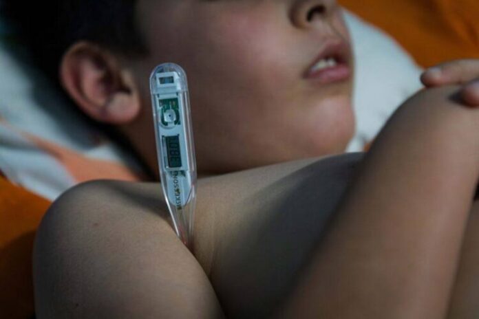 Foto tomada de internet