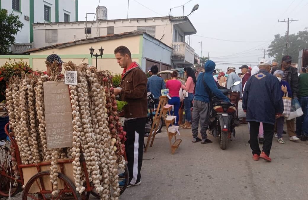 Feria agropecuaria de fin de año en Sagua la Grande