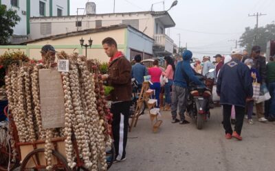 Feria agropecuaria de fin de año en Sagua la Grande