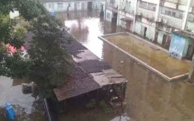 Unidos contra las arbovirosis