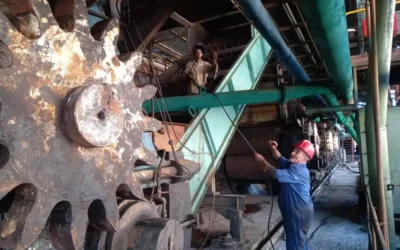 Agroazucareros villaclareños se alistan para la ya cercana contienda 2025-2026