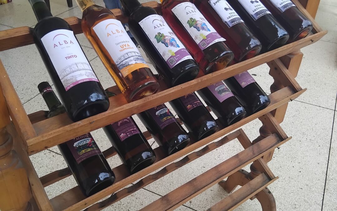 Comenzó vigesimosexto Festival Municipal de Vinicultores en Sagua la Grande