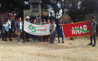 Recibe la ANAP de Sagua la Grande bandera Aniversario 65 de la Organización