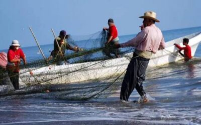 Otorgarán licencias de pesca submarina en Villa Clara