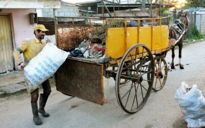 Reorganizan en Sagua la Grande recogida de desechos sólidos con transporte de tracción animal