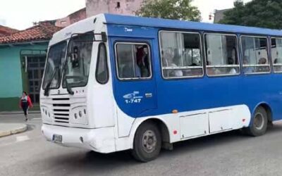 Adopa medidas sector del trasporte ante la falta de combustible