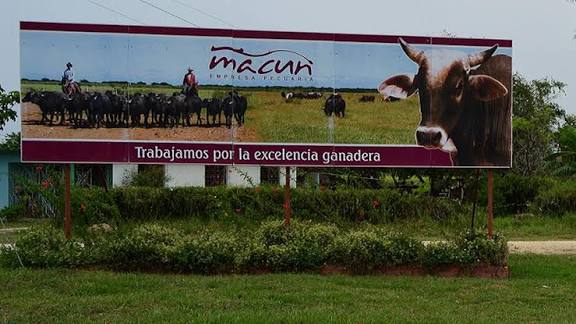 Macun le sale al paso a la contingencia: aumenta venta de alimentos y apoya a centros vulnerables