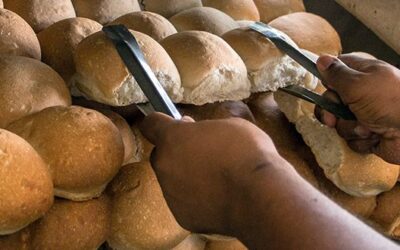 Reconocen a unidades productoras de alimentos en Sagua la Grande por garantizar vitalidad de los servicios