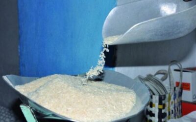 Anuncian nuevo horario de trabajo en las bodegas a partir del próximo lunes