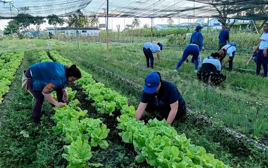 Jornada de trabajo voluntario en Villa Clara
