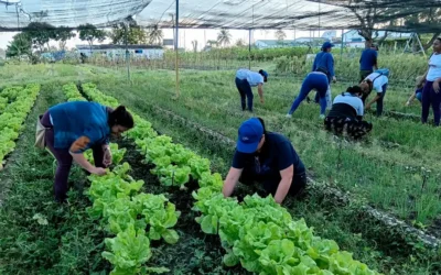 Jornada de trabajo voluntario en Villa Clara