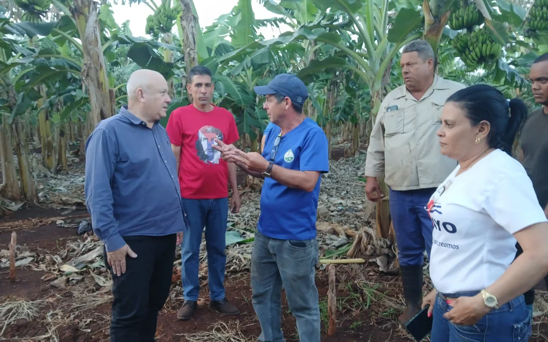 Vice primer ministro cubano evalúa programas productivos en Quemado de Güines