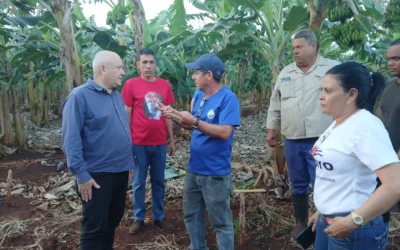 Vice primer ministro cubano evalúa programas productivos en Quemado de Güines