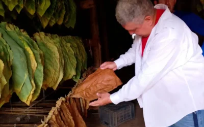 “La Estrella”, antes opaca, que ahora da luz a los tabacaleros