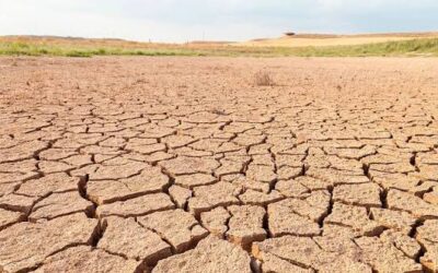 La sequía: desafío ambientalista