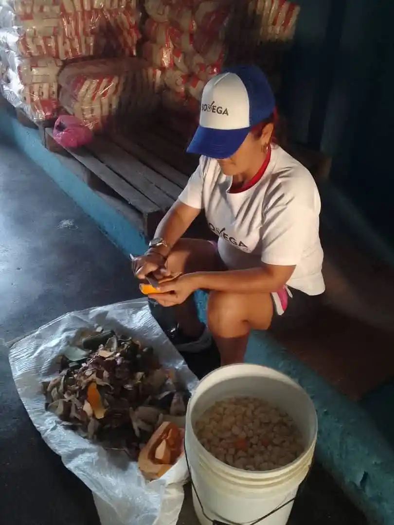 alimentos