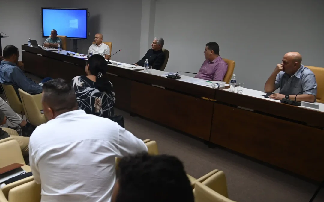 Se reúne Díaz-Canel con representantes del sector privado cubano