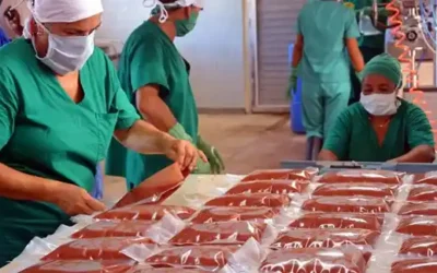 Nuevas normas amplían el espacio de los actores no estatales en la economía cubana