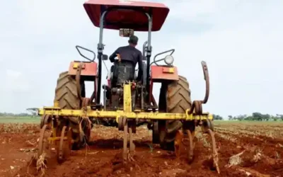 Nuevas normas para ordenar y dinamizar las transformaciones en la agricultura