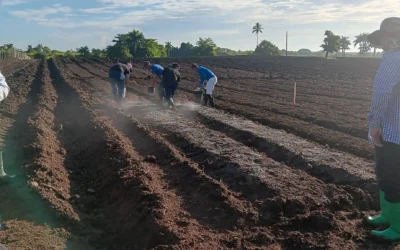 Fiesta tabacalera del verano en Villa Clara