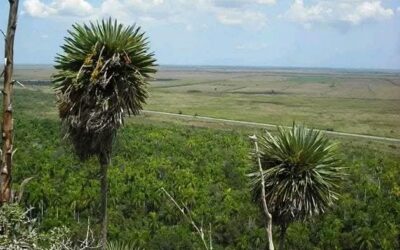 Orgullo de los sagüeros: los Mogotes de Jumagua, Área Protegida