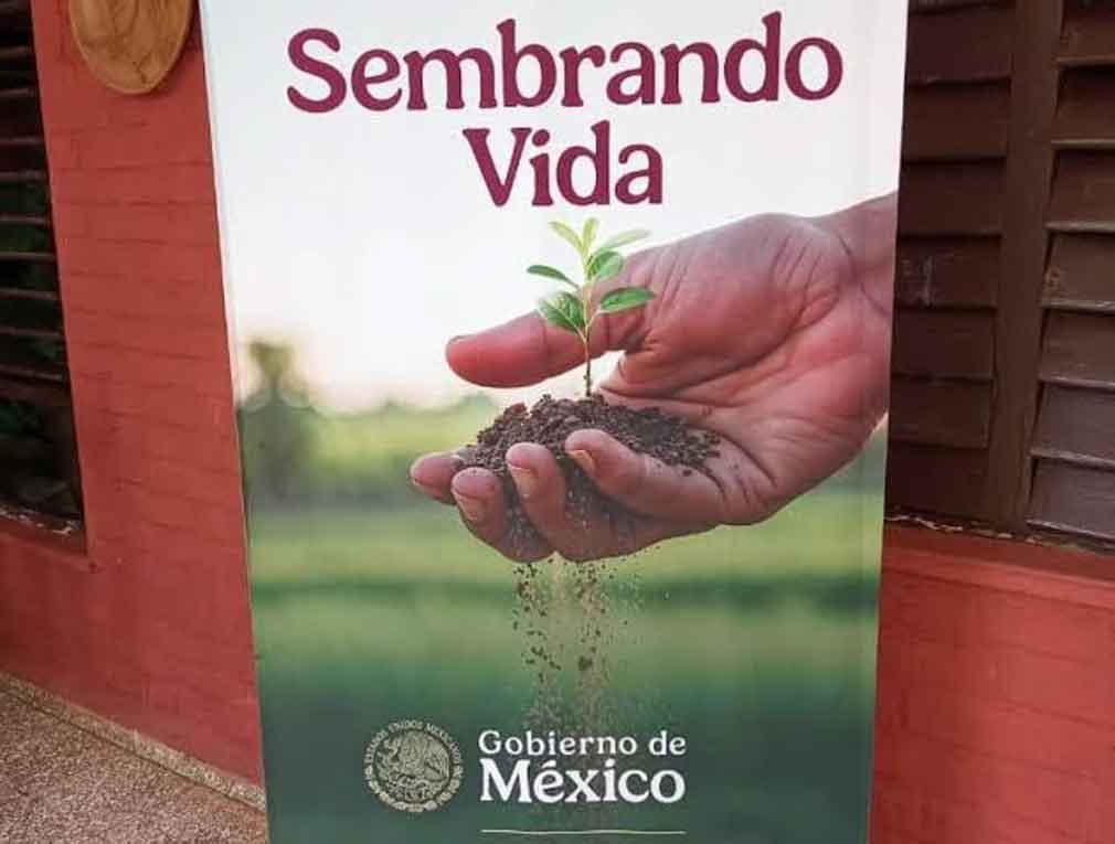 Mexico-siembra-1