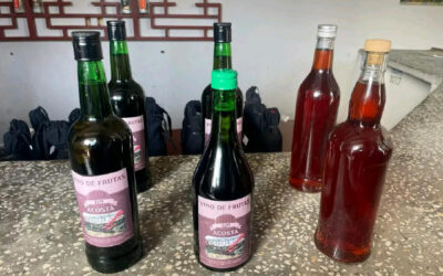 Festival municipal de vinicultores sagüeros