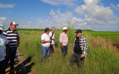 Realiza visita a Sagua la Grande oficina de los órganos locales del PoderPopular del Consejo de Ministros